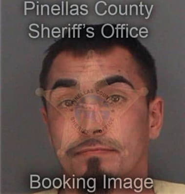 Richard King, - Pinellas County, FL 