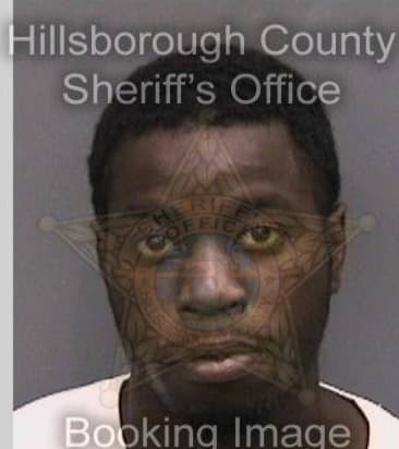 Moses Mills - Hillsborough County, FL 