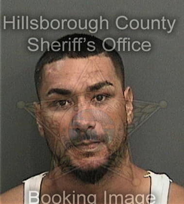 Otilio Ortiz, - Hillsborough County, FL 