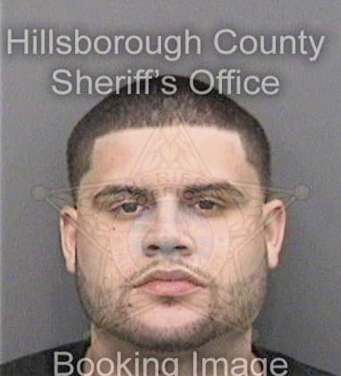 Mario Reinoso, - Hillsborough County, FL 