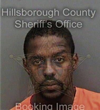 Robert Williams, - Hillsborough County, FL 