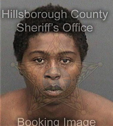 Damian Beard, - Hillsborough County, FL 