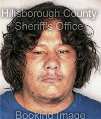 Ronald Clark - Hillsborough County, FL 