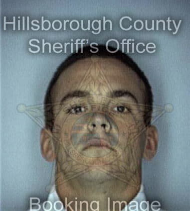 Dennis Hess - Hillsborough County, FL 