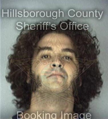 Trino Navarro, - Hillsborough County, FL 