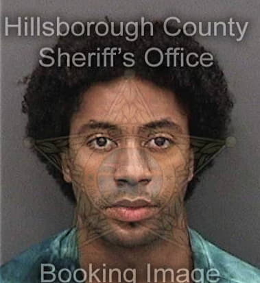 Justin Plummerdavis, - Hillsborough County, FL 