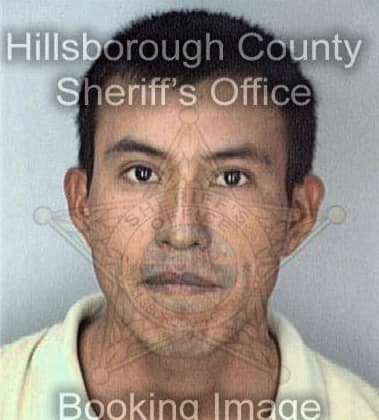 Christian Ruiz, - Hillsborough County, FL 