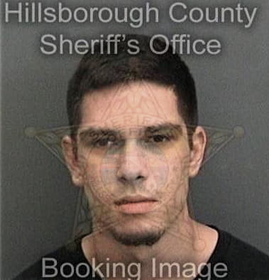 Samuel Arrietareyes, - Hillsborough County, FL 