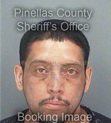 Jose Bailomontes, - Pinellas County, FL 