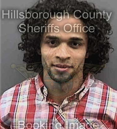 Santiago Gutierrez, - Hillsborough County, FL 