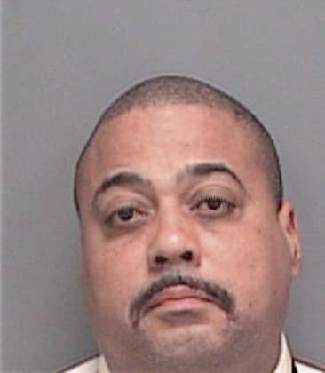 Segarius Patterson, - Pinellas County, FL 