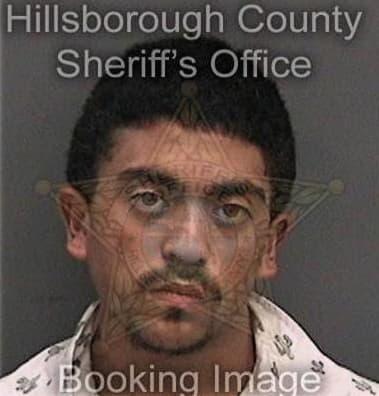 Hector Perezramos, - Hillsborough County, FL 