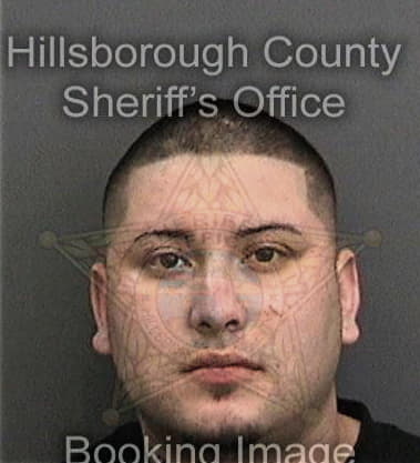 Nicholas Carrion, - Hillsborough County, FL 