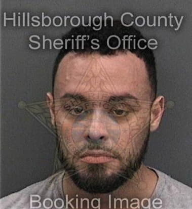 Michael Fontana, - Hillsborough County, FL 