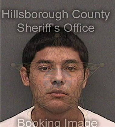 Christopher Lewis, - Hillsborough County, FL 