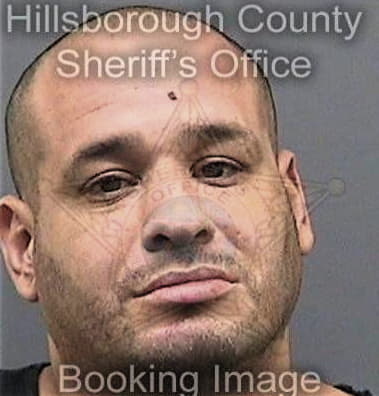 Jiovani Martinez, - Hillsborough County, FL 