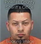 Jacinto Mendoza-Valiente, - Pinellas County, FL 