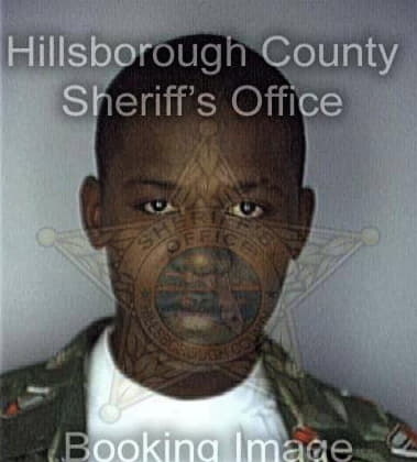 Ceola Mitchell - Hillsborough County, FL 