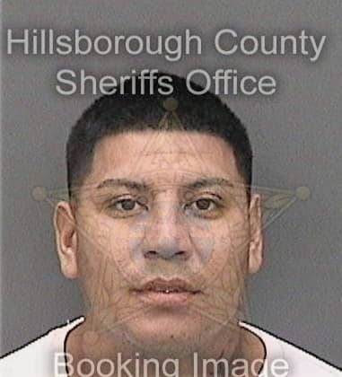 Phillip Carver, - Hillsborough County, FL 