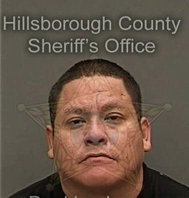 Christopher Loveless, - Hillsborough County, FL 