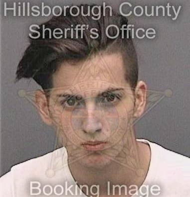 Joshua Mathieu, - Hillsborough County, FL 