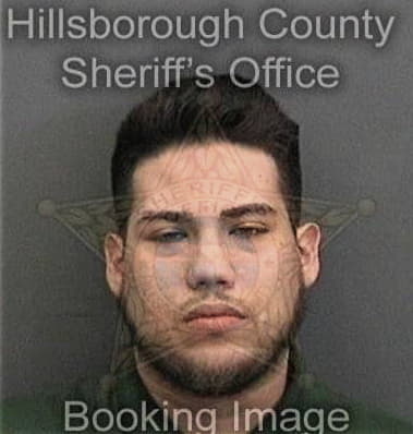 Richard McDonald - Hillsborough County, FL 