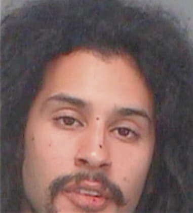 Eliezer Velentinrosa, - Pinellas County, FL 