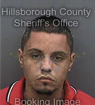 Jonathan Velezrivera, - Hillsborough County, FL 