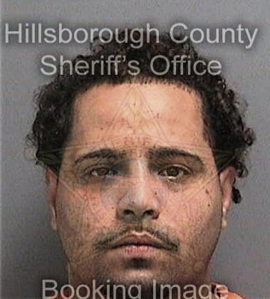 Jose Weekes, - Hillsborough County, FL 