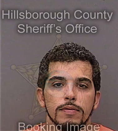 Joshua Driver, - Hillsborough County, FL 