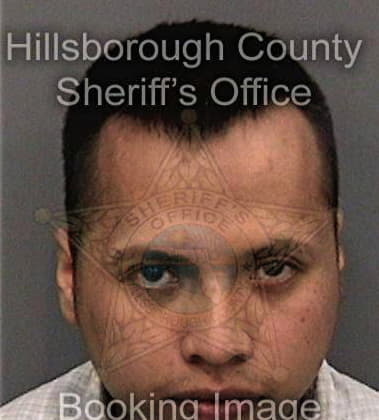 Michael Flint, - Hillsborough County, FL 