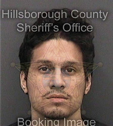 Raymond Malacarne, - Hillsborough County, FL 