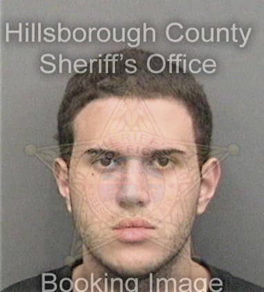 Luis Palominosdonas, - Hillsborough County, FL 