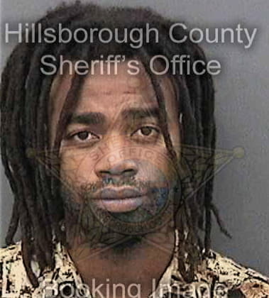 Damine Tyson, - Hillsborough County, FL 