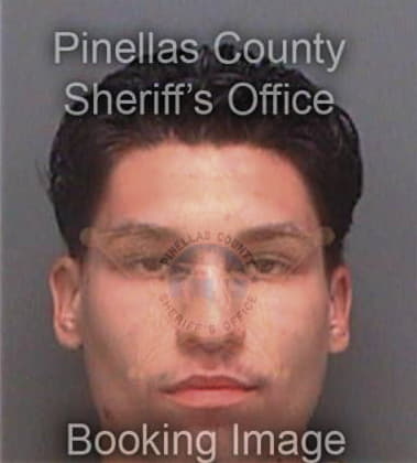 Manuel Vega, - Pinellas County, FL 