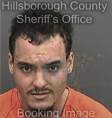 Jorge Abudayeh, - Hillsborough County, FL 