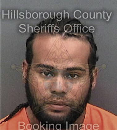 Jonathan Davis, - Hillsborough County, FL 