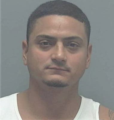 Marvin Garcia-Brizuela, - Lee County, FL 