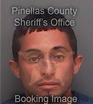 Miguel Haisten, - Pinellas County, FL 