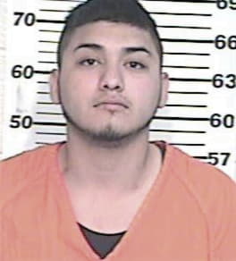 Jesus Ledesma, - Hidalgo County, TX 