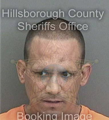 Gerard Levesque, - Hillsborough County, FL 