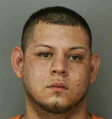 David Stephens, - Polk County, FL 