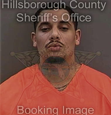 Travis Hunter, - Hillsborough County, FL 