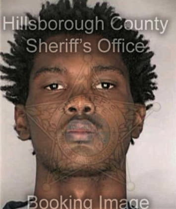 Ronald McClendon - Hillsborough County, FL 