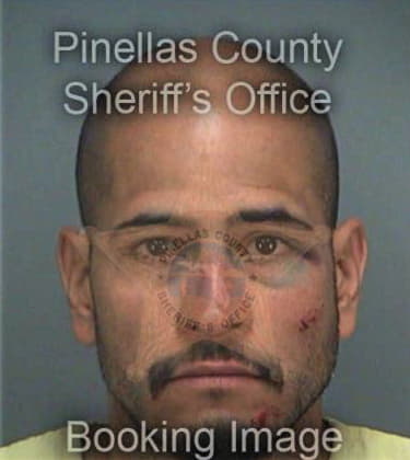 Erasmo Aguinaga, - Pinellas County, FL 