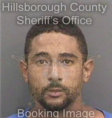 Aron Baglin, - Hillsborough County, FL 