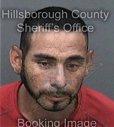 Alejandro Coronamedina, - Hillsborough County, FL 