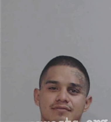 Benito-Leal Salinas, - Hidalgo County, TX 