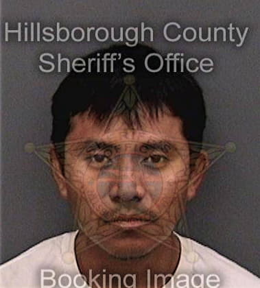 Steven Brawer - Hillsborough County, FL 
