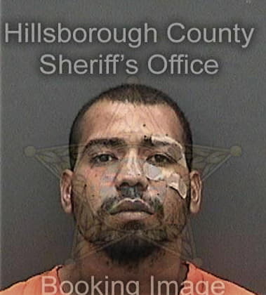 Julio Montalvoreyes, - Hillsborough County, FL 